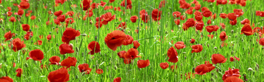436842 (a): :3840x1200